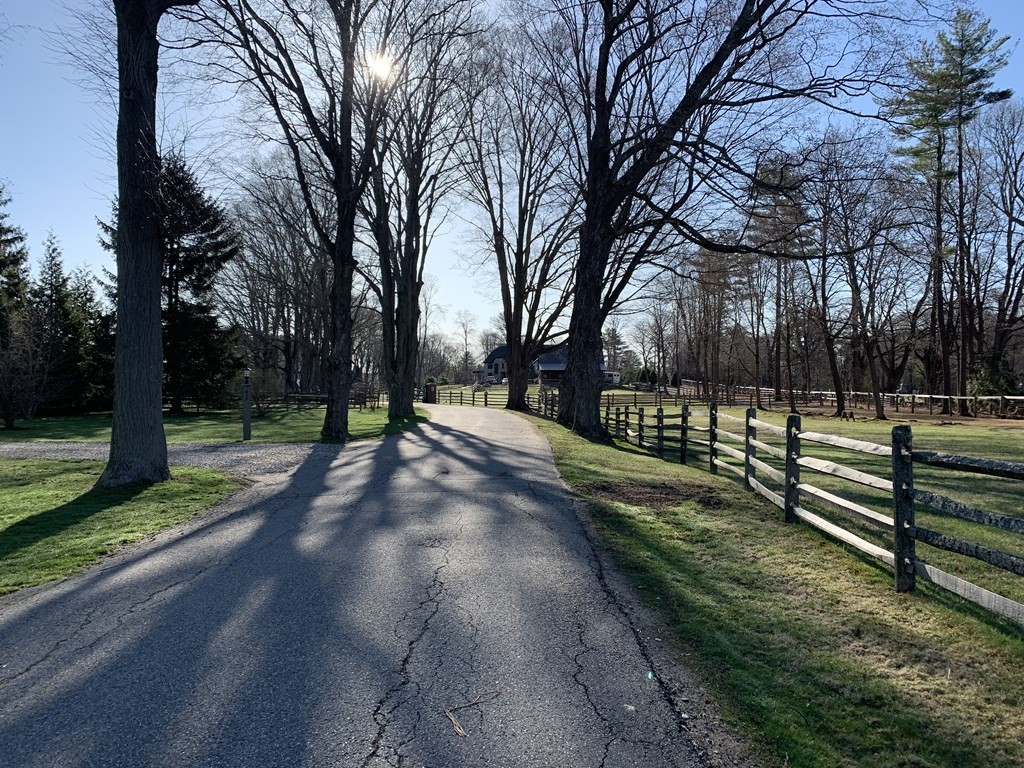 627 Bay Road Hamilton, MA 01982 - Photo 9 of 13 a view of park with tree s