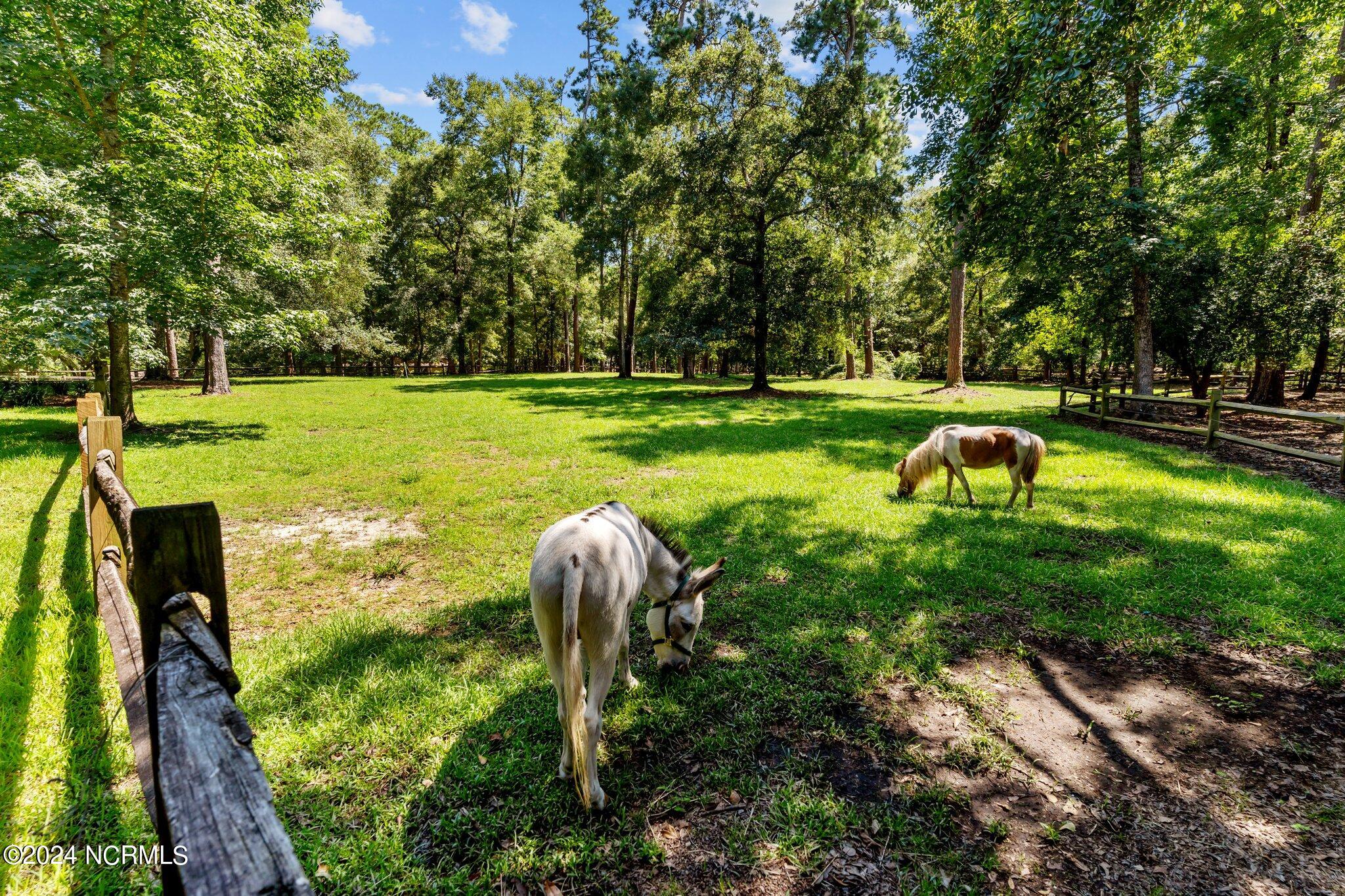 6417 Quail Run Road Wilmington, NC 28409 - Photo 90 of 136 68-web-or-mls-BTS01494