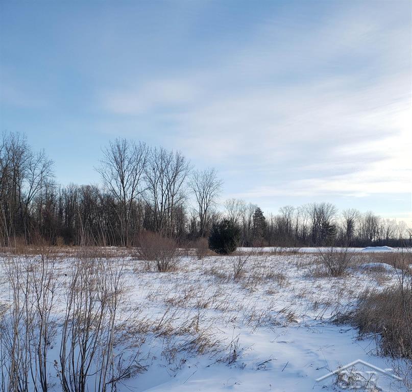 5120 5 Mile Road Hope, MI 48628 - Photo 6 of 17