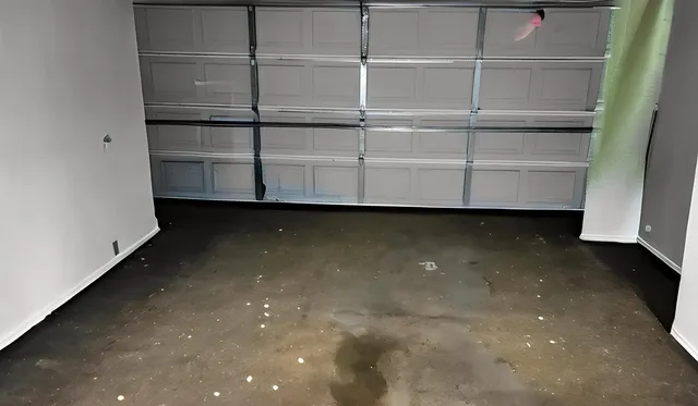 a view of a room with shelves