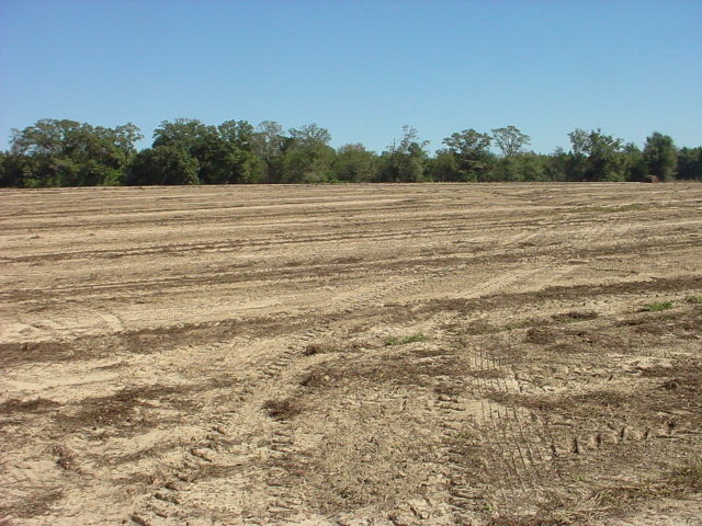 P5 Furnie Jackson Road Ashford, AL 36312 - Photo 1 of 1