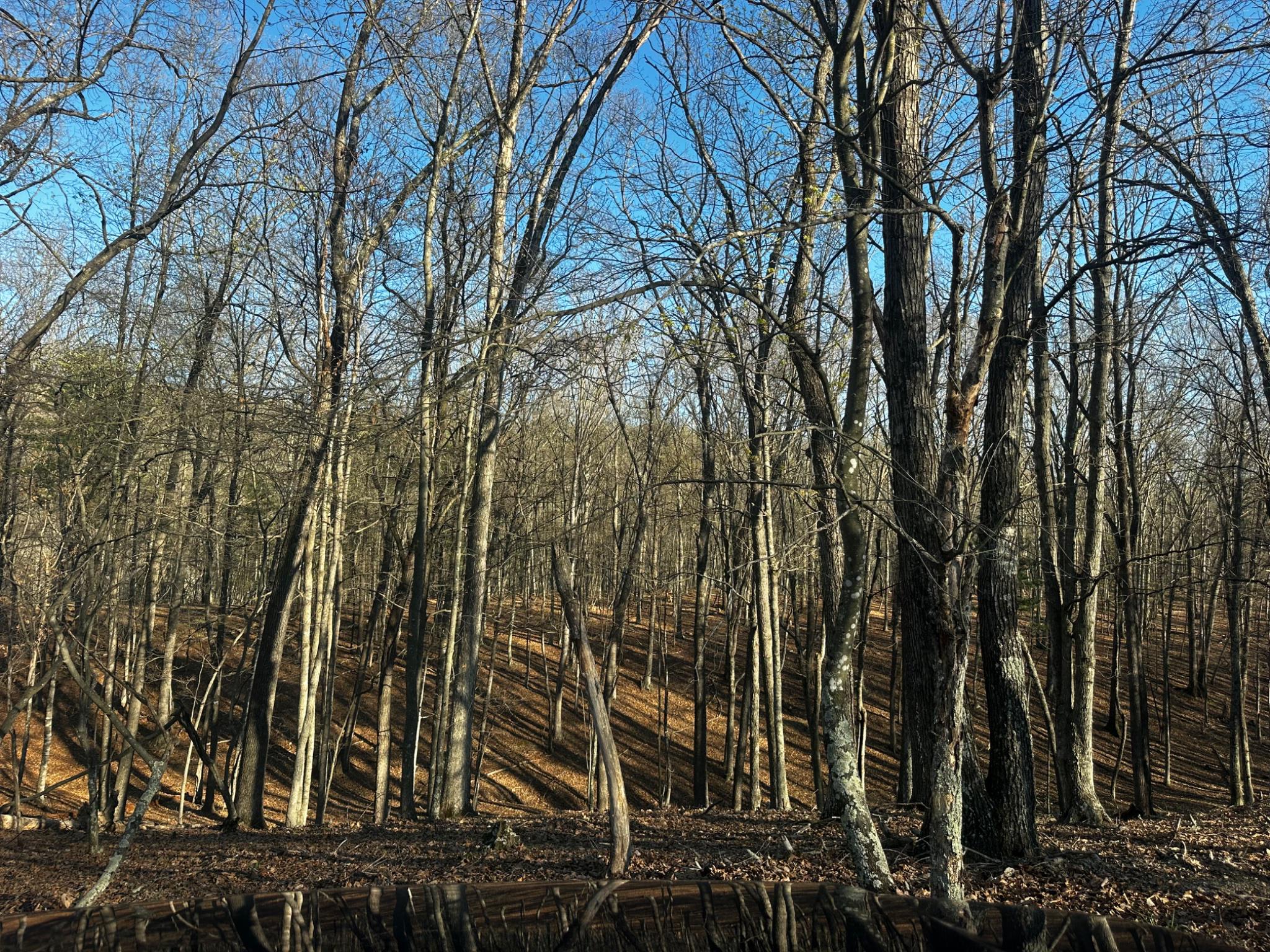 Crossings View Rd Road Paw Paw, WV 25434 - Photo 8 of 20 Gallery Image 8