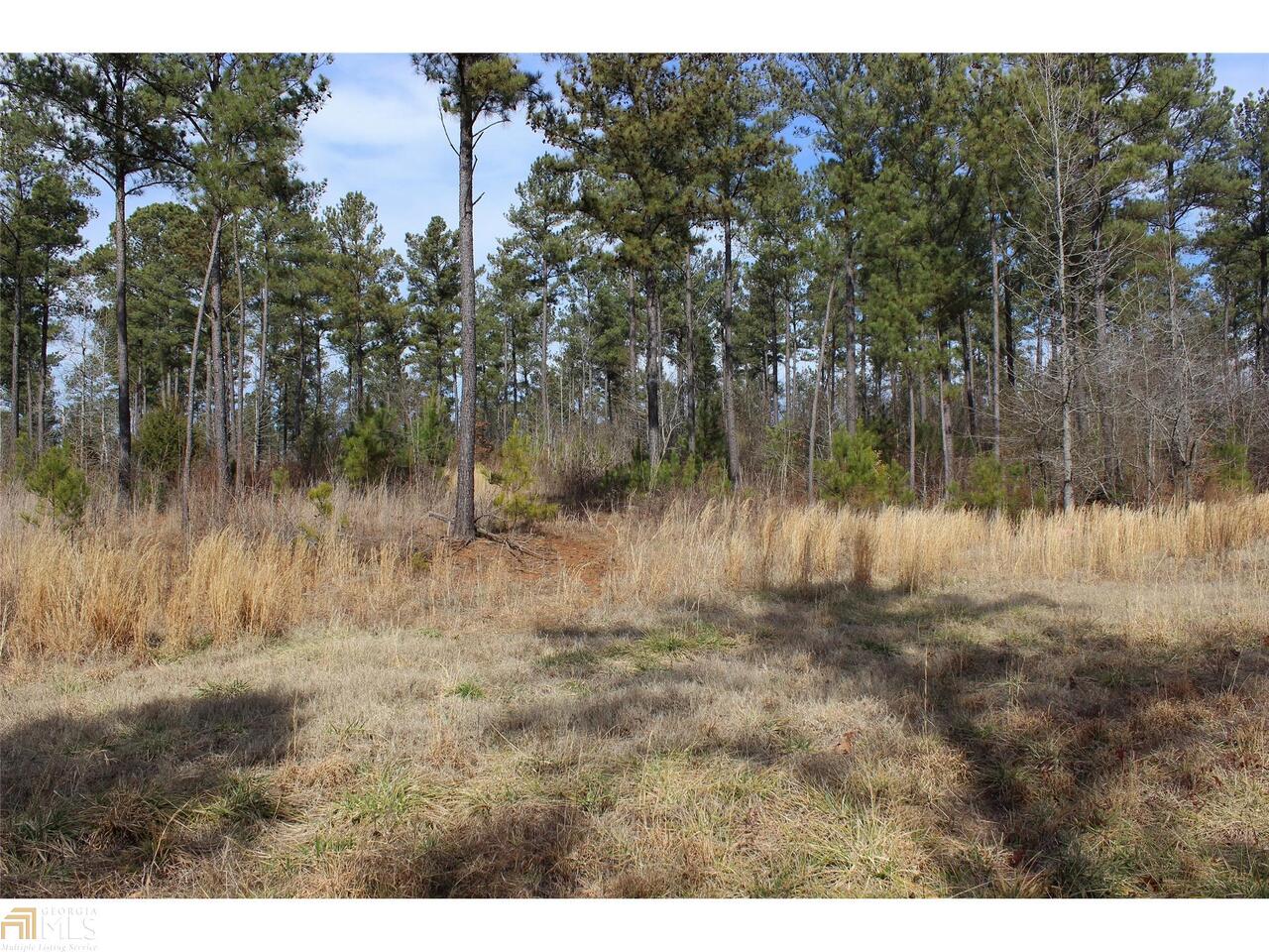 0 Waggoners Grove Church Road, Unit 3 Colbert, GA 30628 - Photo 1 of 1