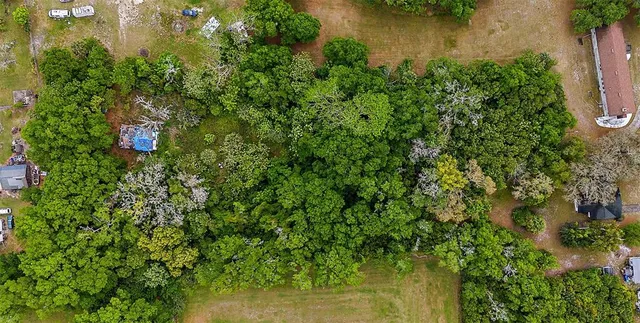a view of a lake with a tree