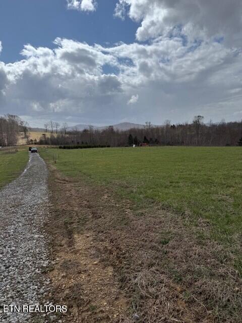 127 Rushing Springs Road Monterey, TN 38574 - Photo 7 of 57 Spring photo 6