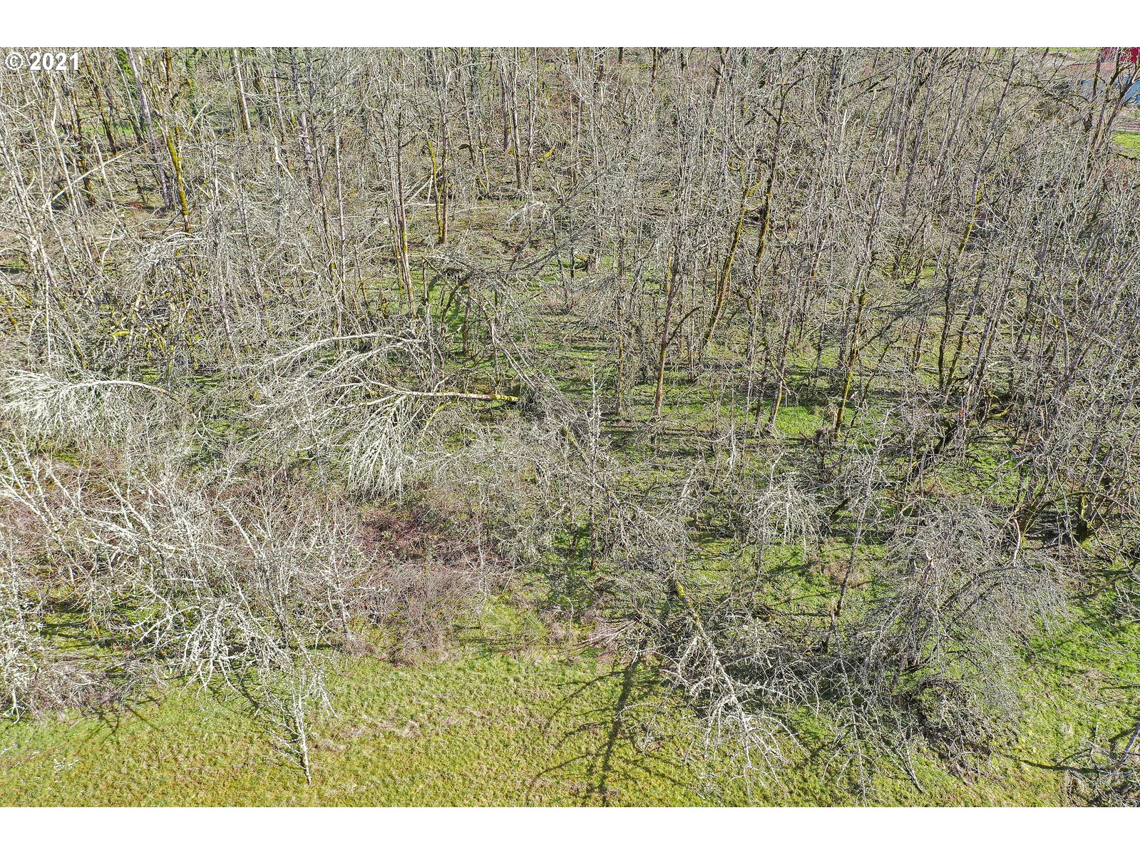 9474 Golf Club Road Southeast Aumsville, OR 97325 - Photo 24 of 32 Gallery Image 24