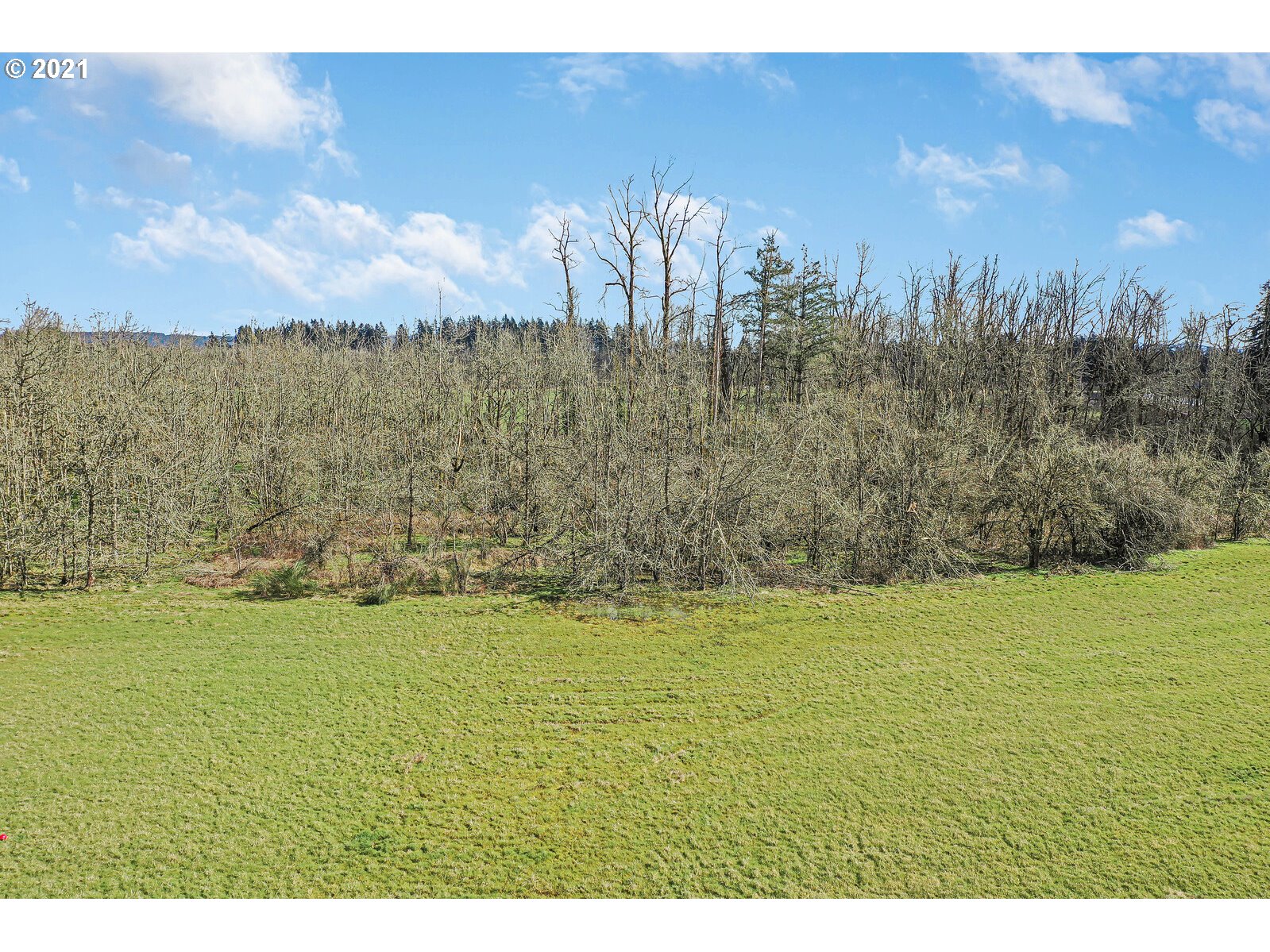 9474 Golf Club Road Southeast Aumsville, OR 97325 - Photo 30 of 32 Gallery Image 30