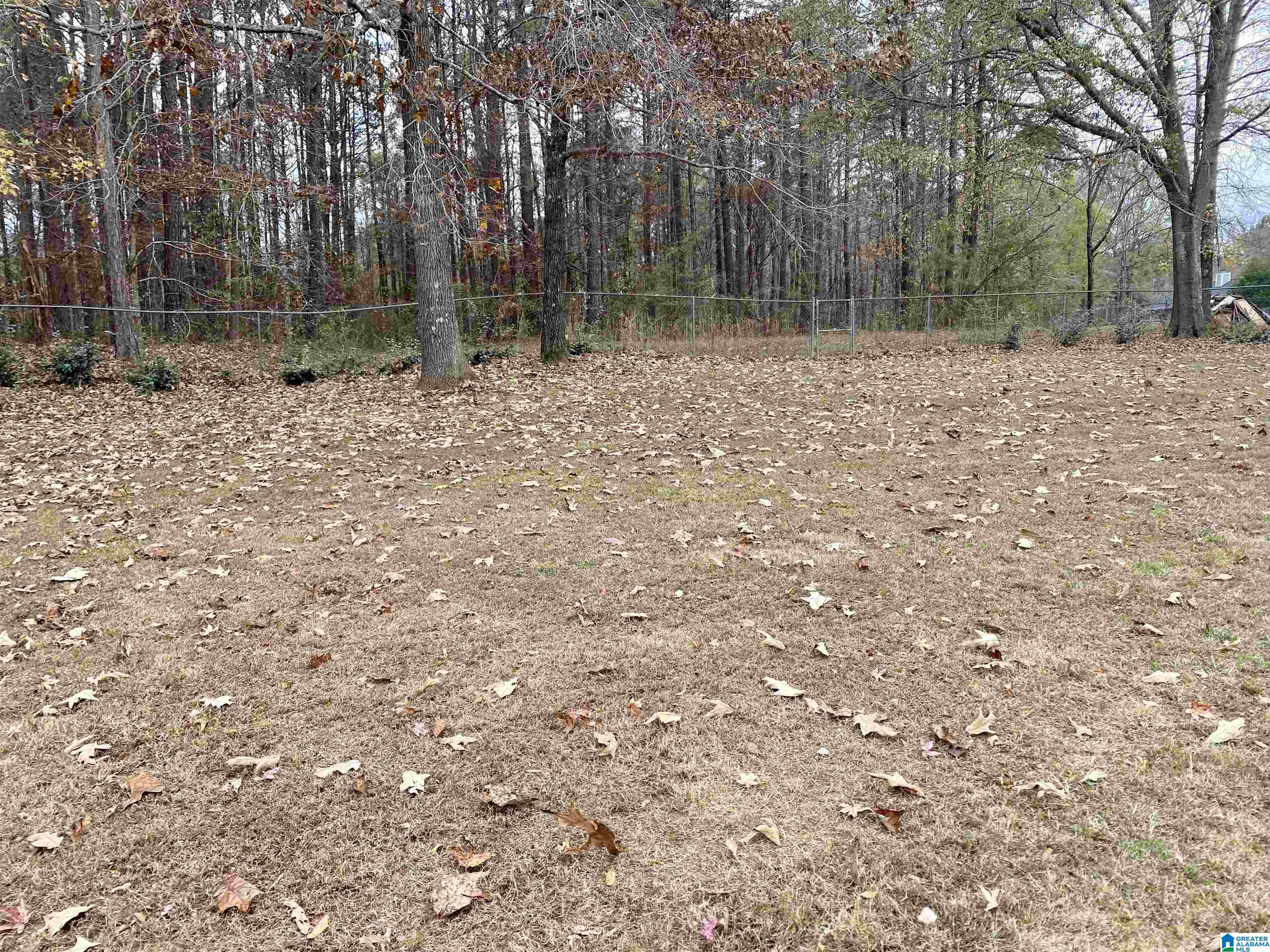 9330 Bill Jones Road Kimberly, AL 35091 - Photo 35 of 42