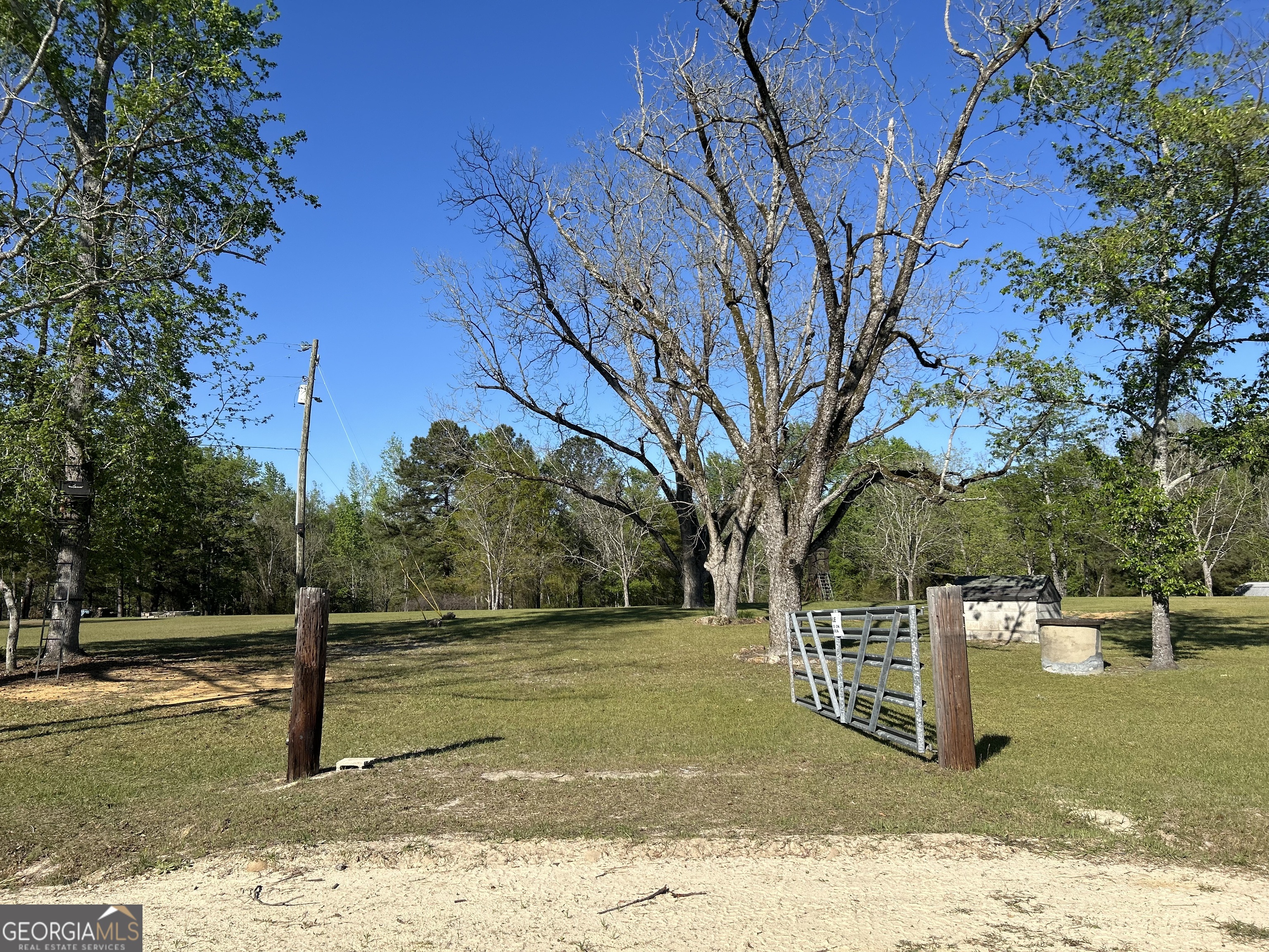 4645 Pleasant Plains Road Harrison, GA 31035 - Photo 1 of 10