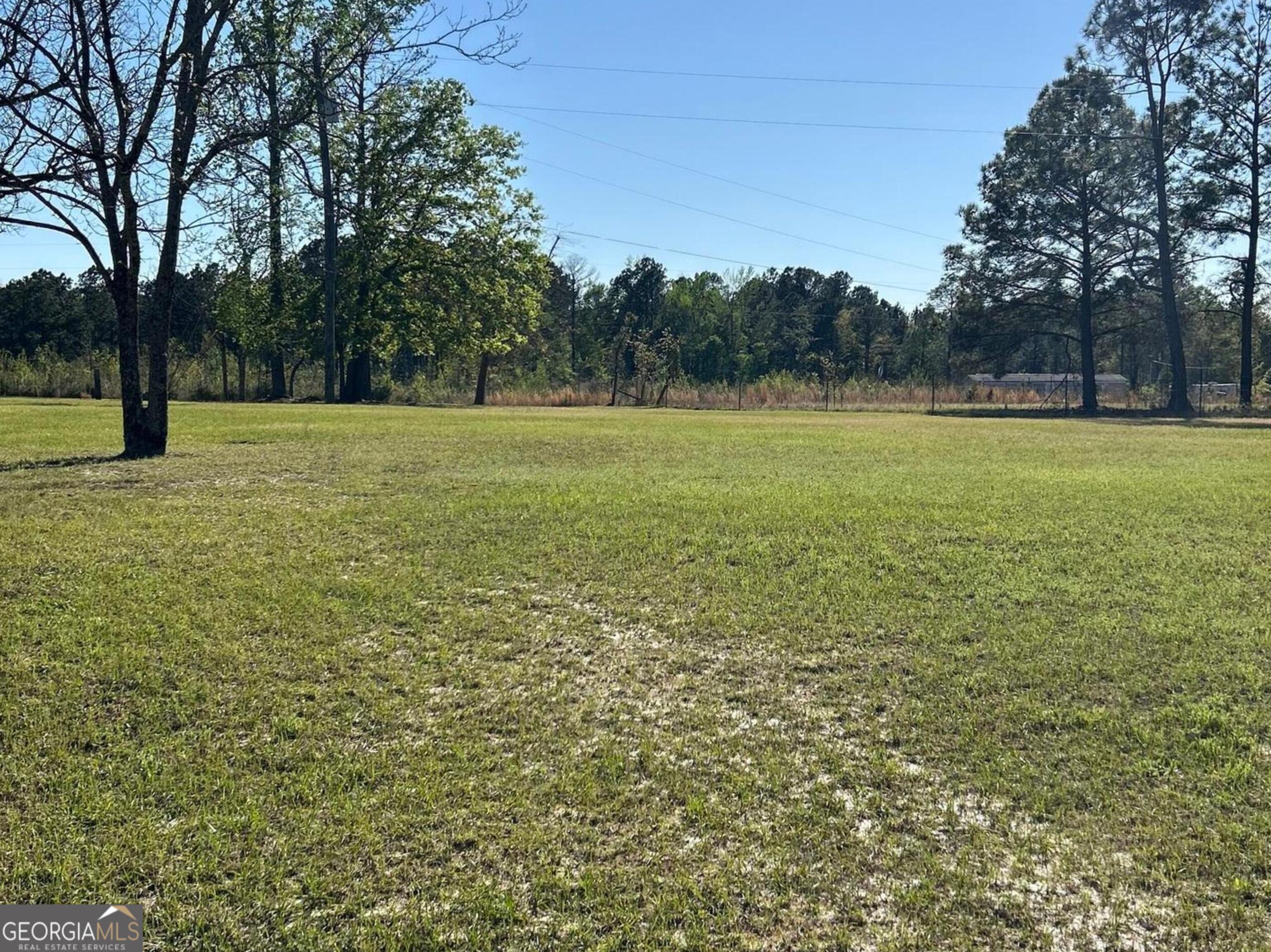 4645 Pleasant Plains Road Harrison, GA 31035 - Photo 4 of 10