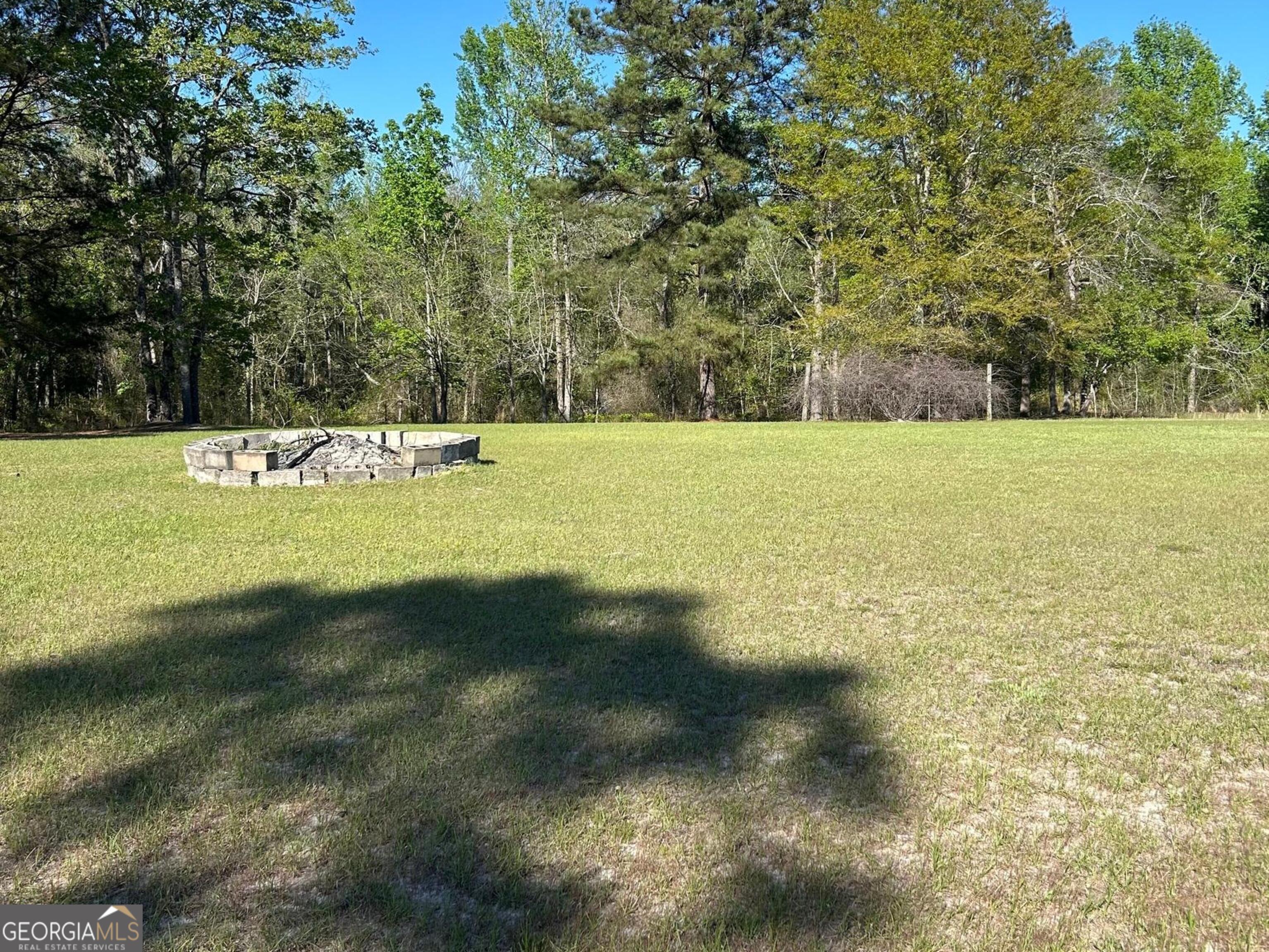 4645 Pleasant Plains Road Harrison, GA 31035 - Photo 7 of 10