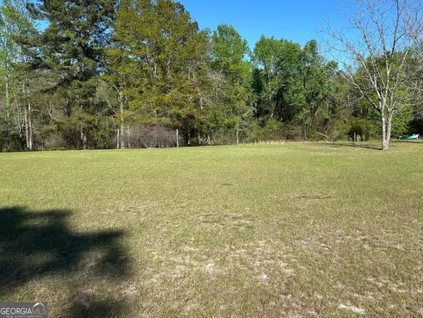 $40,000 | 4645 Pleasant Plains Road, Harrison, GA 31035