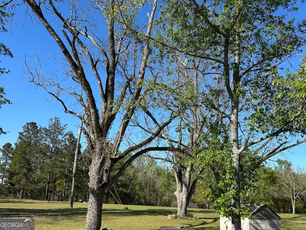 $40,000 | 4645 Pleasant Plains Road, Harrison, GA 31035