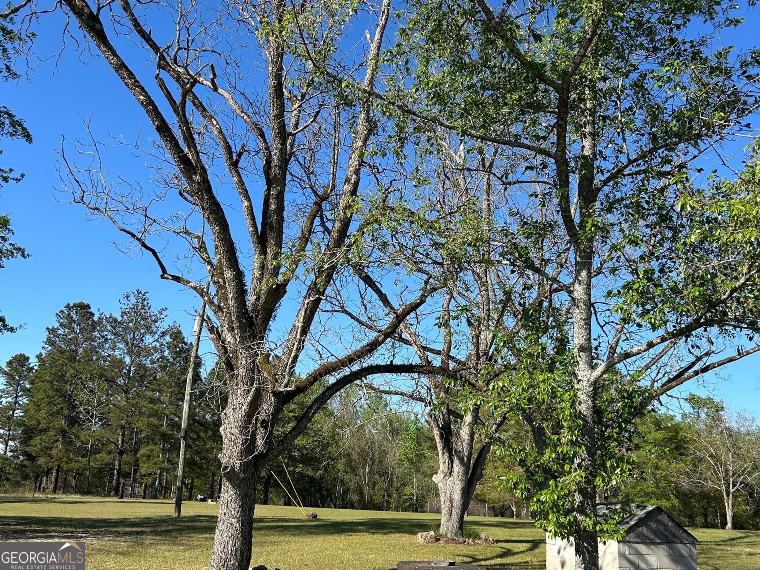 4645 Pleasant Plains Road Harrison, GA 31035 - Photo 10 of 10