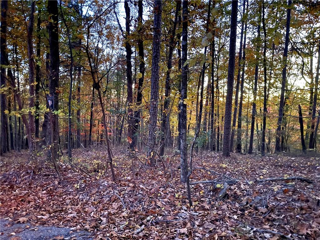 1345 Hunter Drive Ranger, GA 30734 - Photo 2 of 8 a view of a backyard with trees