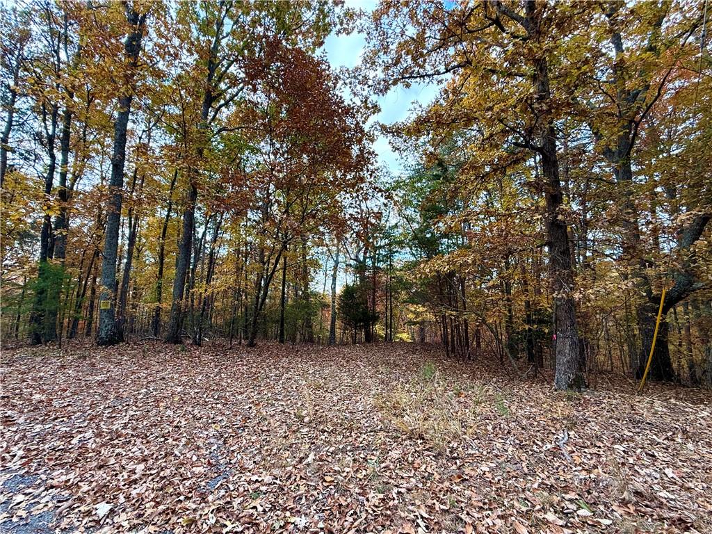 1345 Hunter Drive Ranger, GA 30734 - Photo 6 of 8 a view of a field with trees in the background