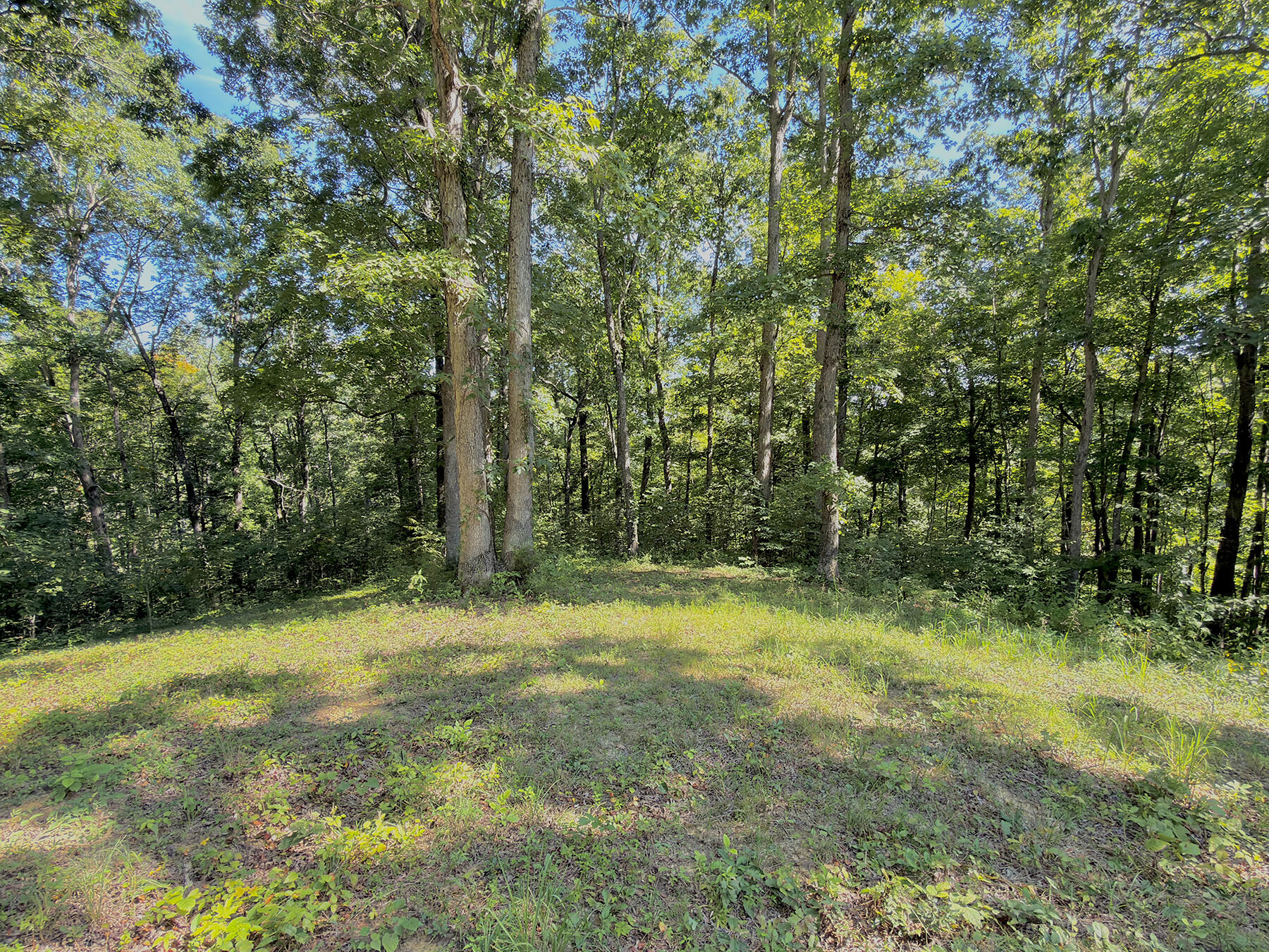 139 West Willow Point Road Monticello, KY 42633 - Photo 2 of 6 IMG_7504 copy
