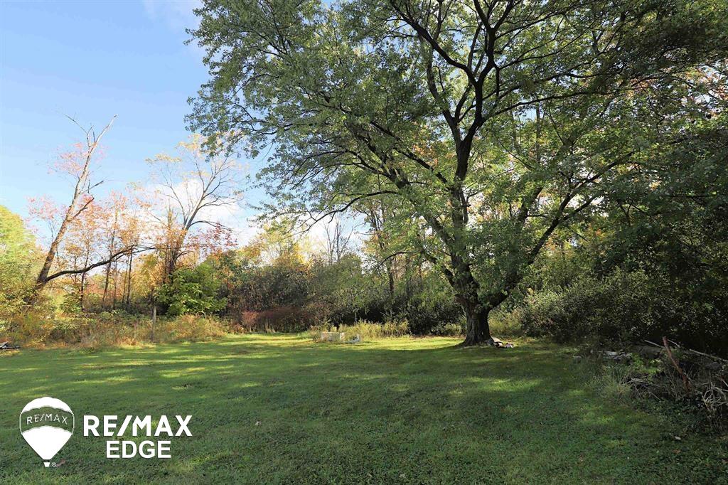 0 Chapin Road Elsie, MI 48831 - Photo 1 of 1