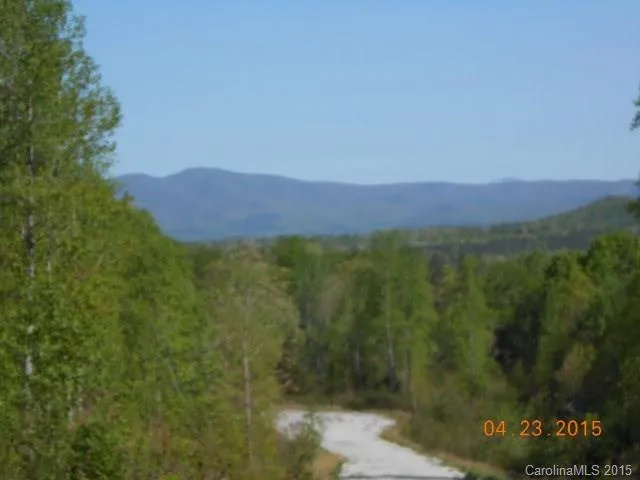 a view of a city with lush green forest