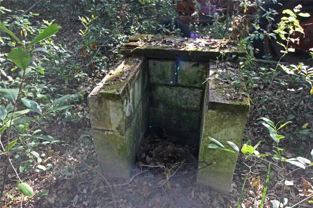 a view of a yard with a trees