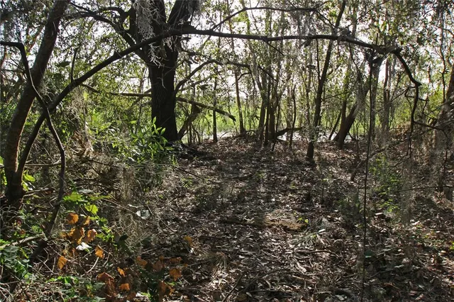 a fire hydrant in the middle of a forest