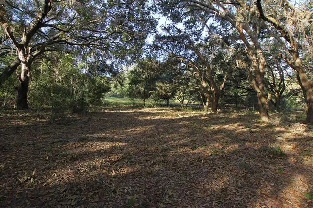 a view of outdoor space with trees