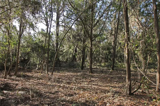 a view of outdoor space with trees
