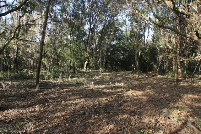 a big yard with lots of green space