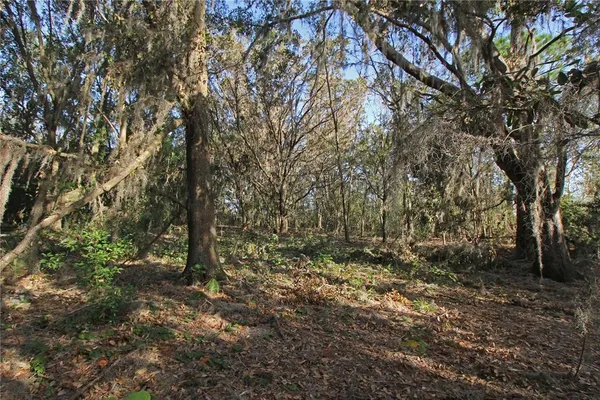 a big yard with lots of green space and deers