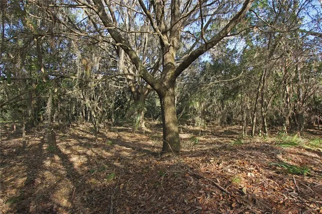 a view of a lake view