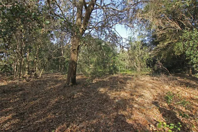 a view of lake with green space