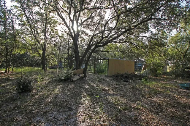a view of a house with a yard and tree s