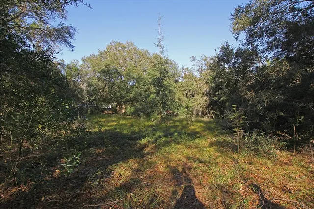 a view of backyard with green space