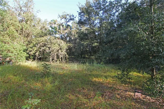 a view of outdoor space and yard