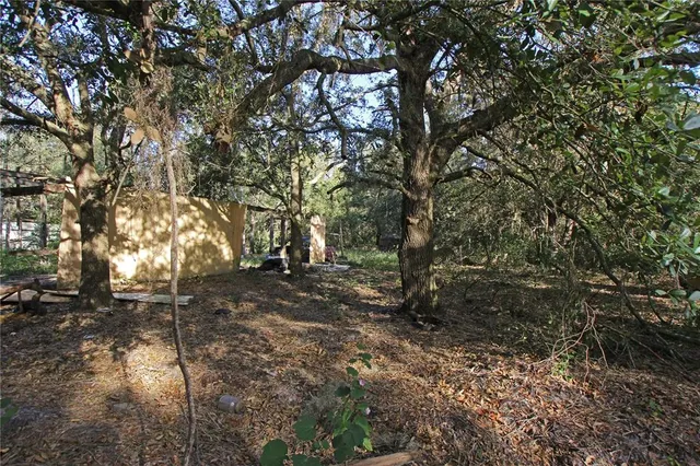a backyard of a house with lots of green space