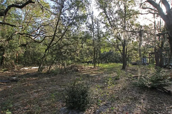 a big yard with lots of green space and deers