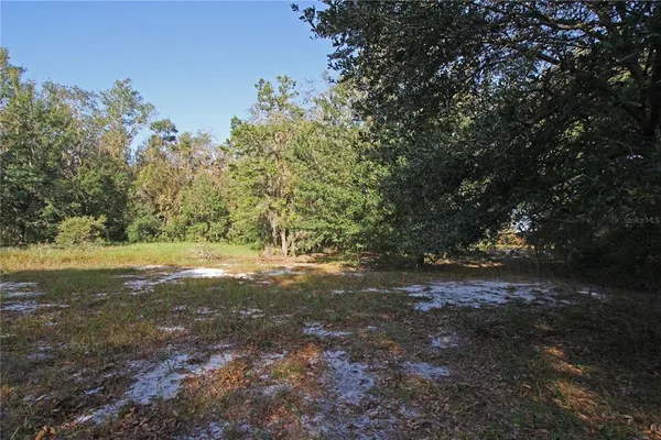 a view of outdoor space with trees