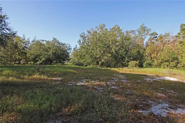 a view of a backyard with trees