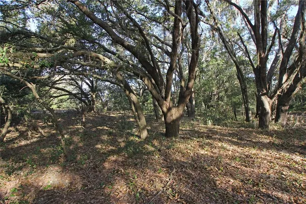 $315,000 | 0 Patricia Drive, Bartow, FL 33830