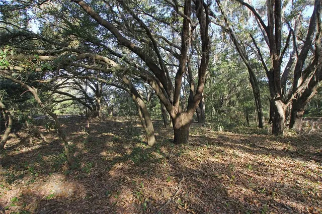 $315,000 | 0 Patricia Drive, Bartow, FL 33830