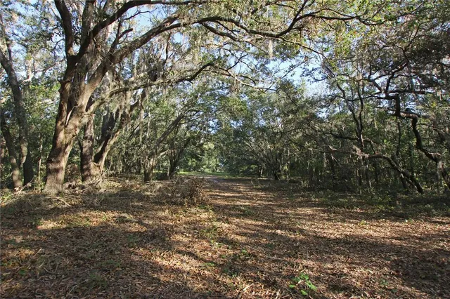 $315,000 | 0 Patricia Drive, Bartow, FL 33830