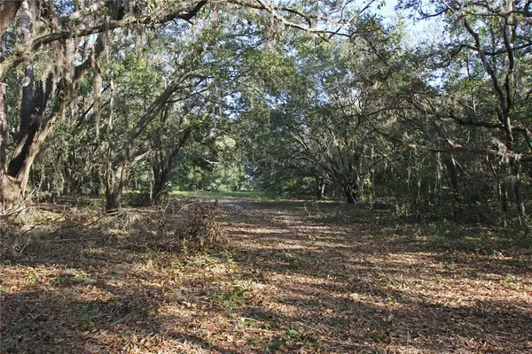 $315,000 | 0 Patricia Drive, Bartow, FL 33830