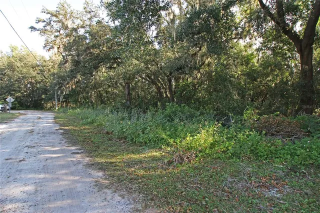 $315,000 | 0 Patricia Drive, Bartow, FL 33830