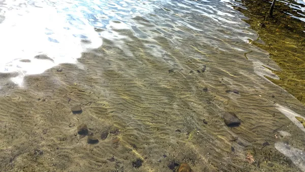 $100,000 | 1330 Sunset Lane, Annandale, MN 55302