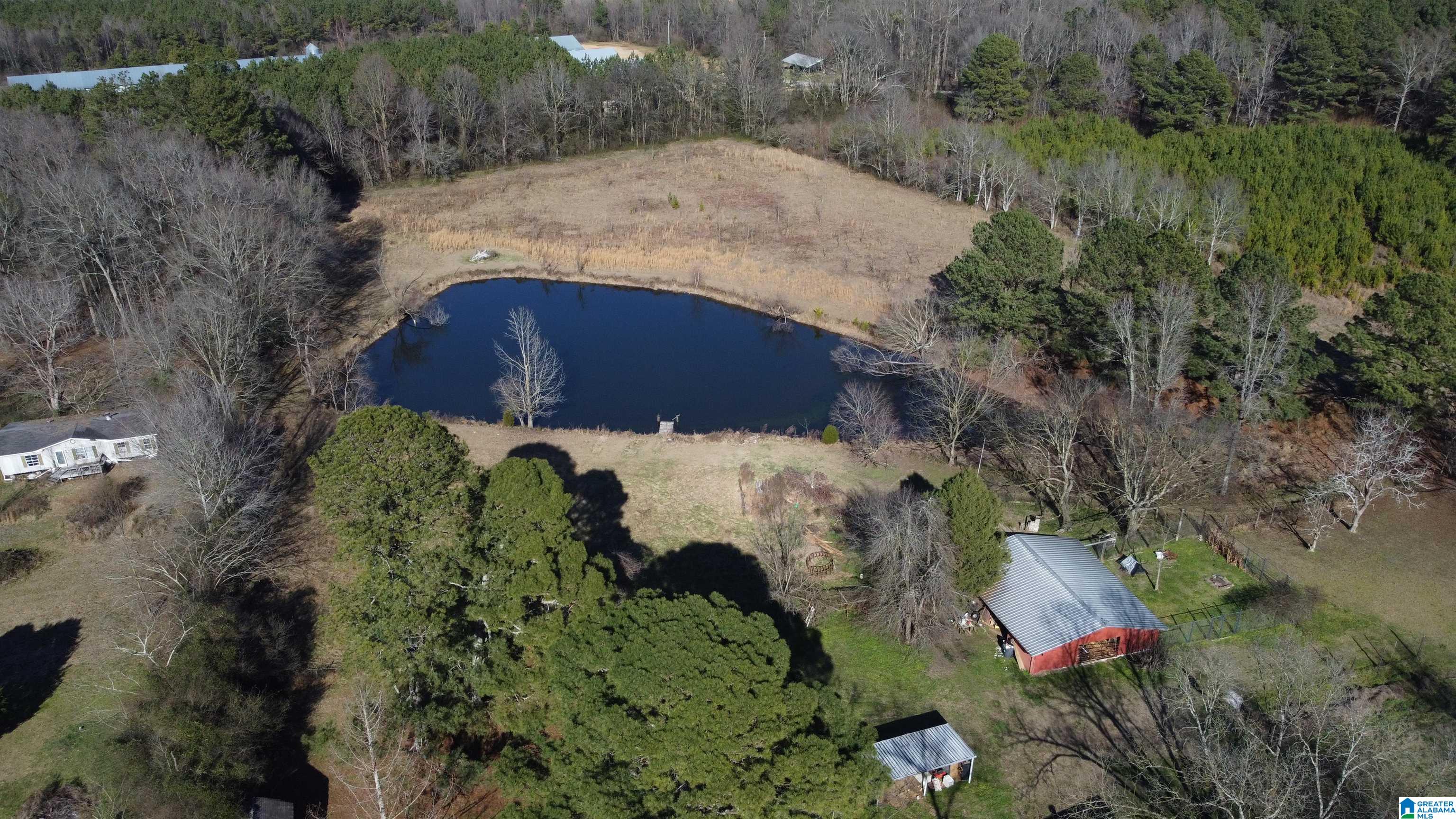2879 Kelly Creek Road Odenville, AL 35120 - Photo 4 of 25