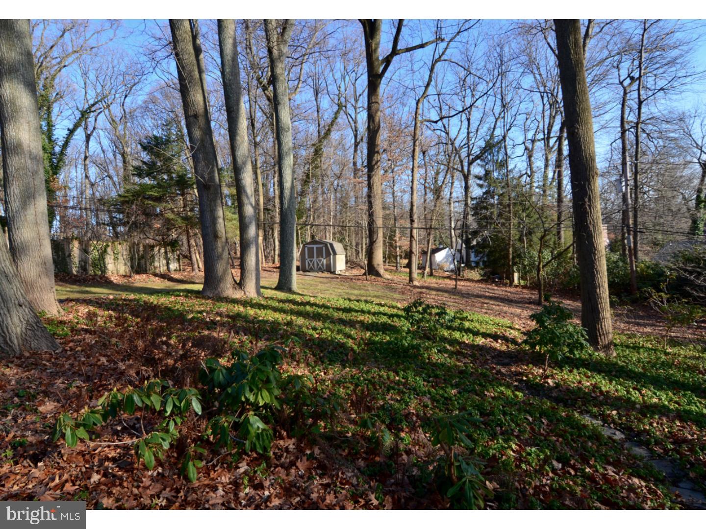 18 Briar Road Wayne, PA 19087 - Photo 4 of 20 Back Yard