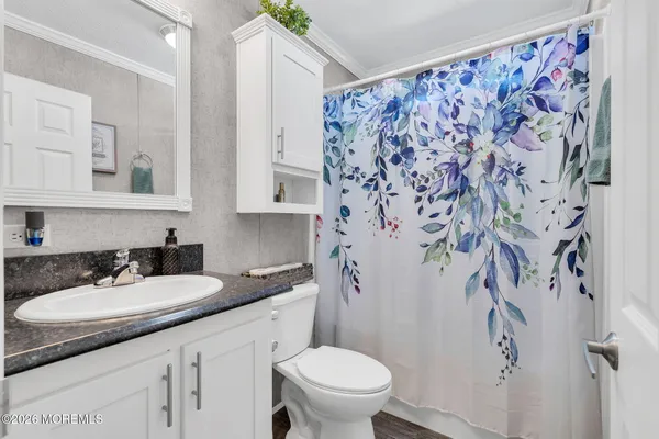 a bathroom with a granite countertop sink a toilet and a mirror