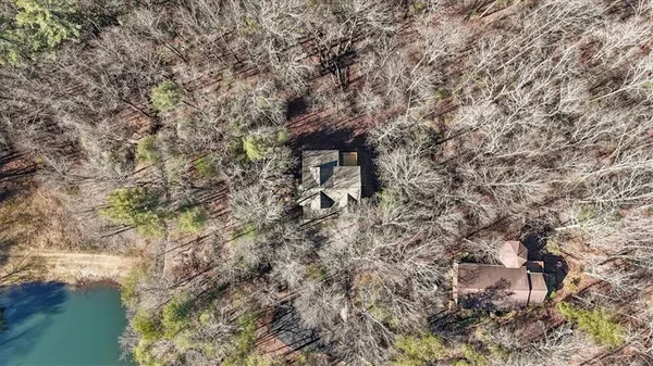 a view of a town with large trees