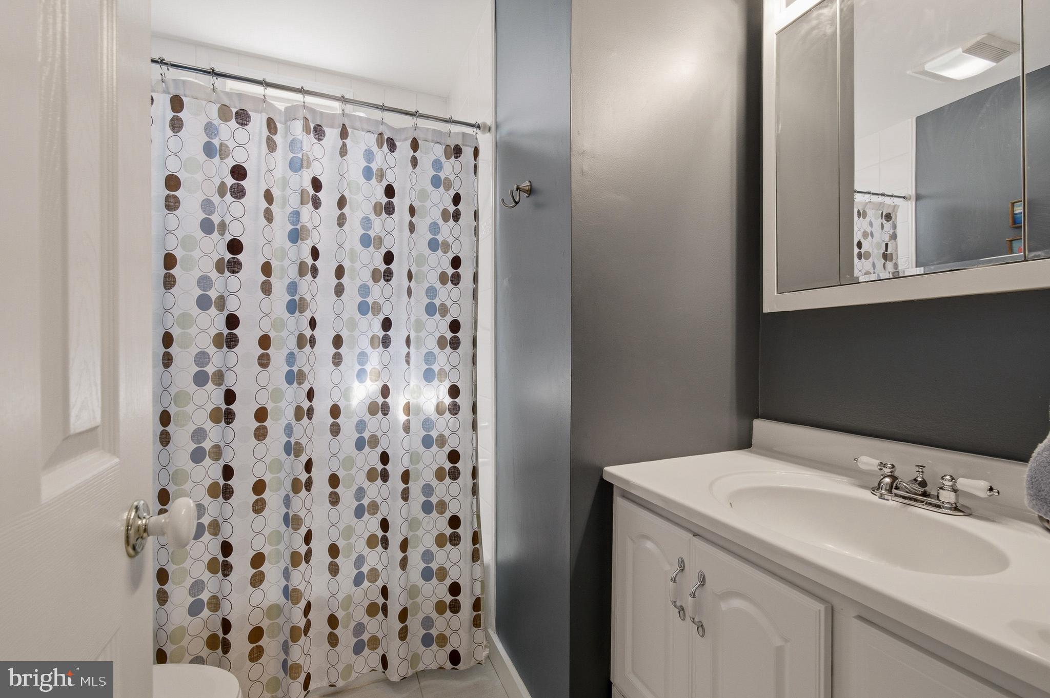 1410 Knights Bridge Turn Crofton, MD 21114 - Photo 41 of 75 Hall Bathroom