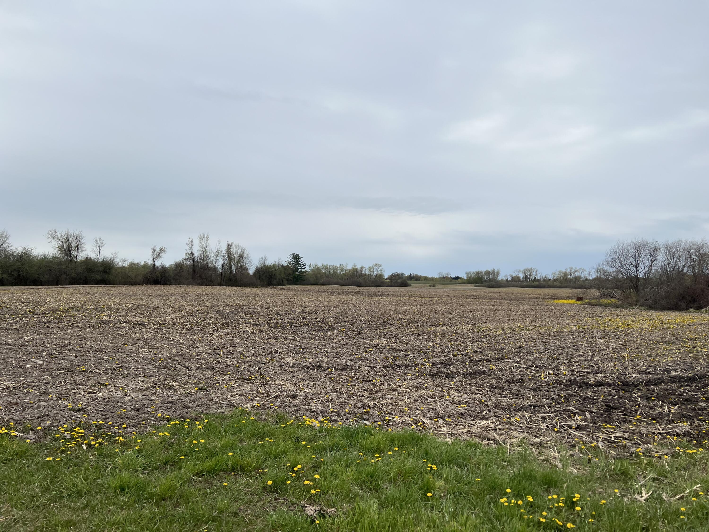 6-acres West Polk Road Mears, MI 49436 - Photo 5 of 8 image_50413825
